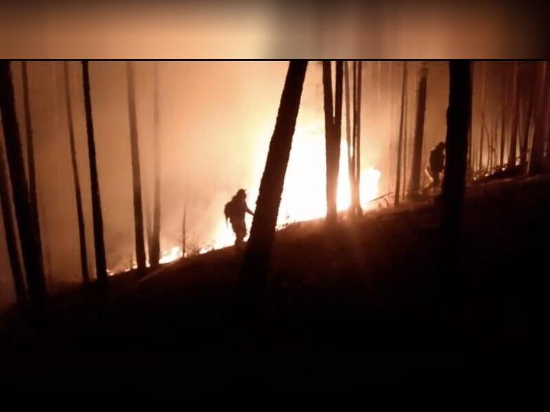  ���������� ���� ������ ���������� ��� �������� 