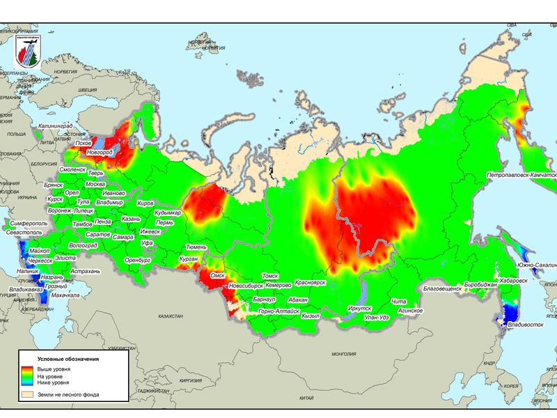 : zabmedia.ru