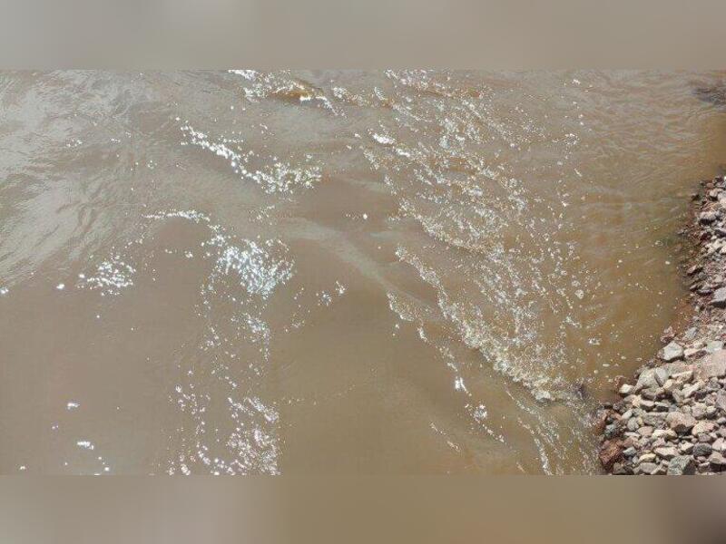  ������ ������� ��������� ����� ����������� ���� 