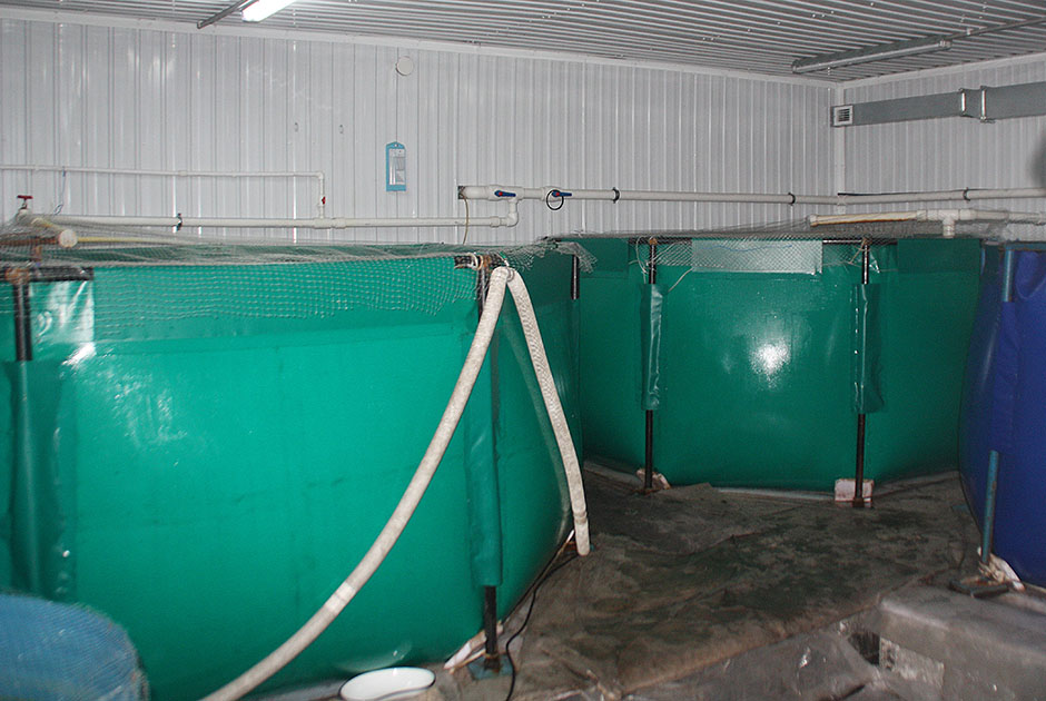 Знакомьтесь: забайкальская форель