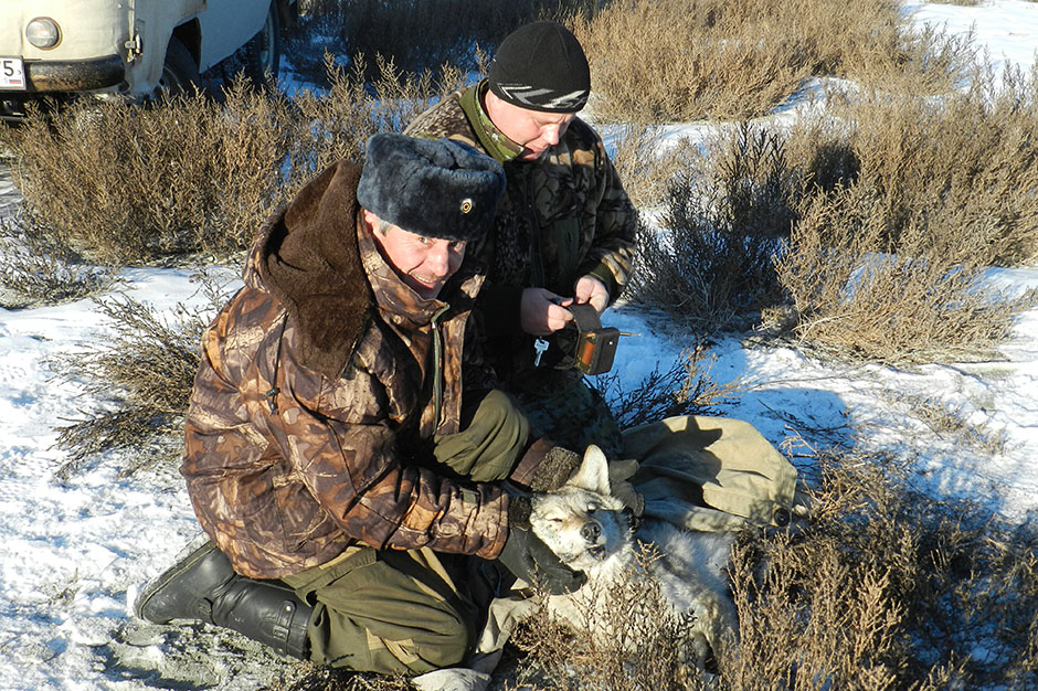 Человек природы. Госинспектор Коротких
