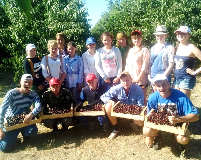 Куда пойти учиться в 2017 году?