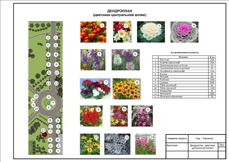 Проекты клумб и цветников со списком растений