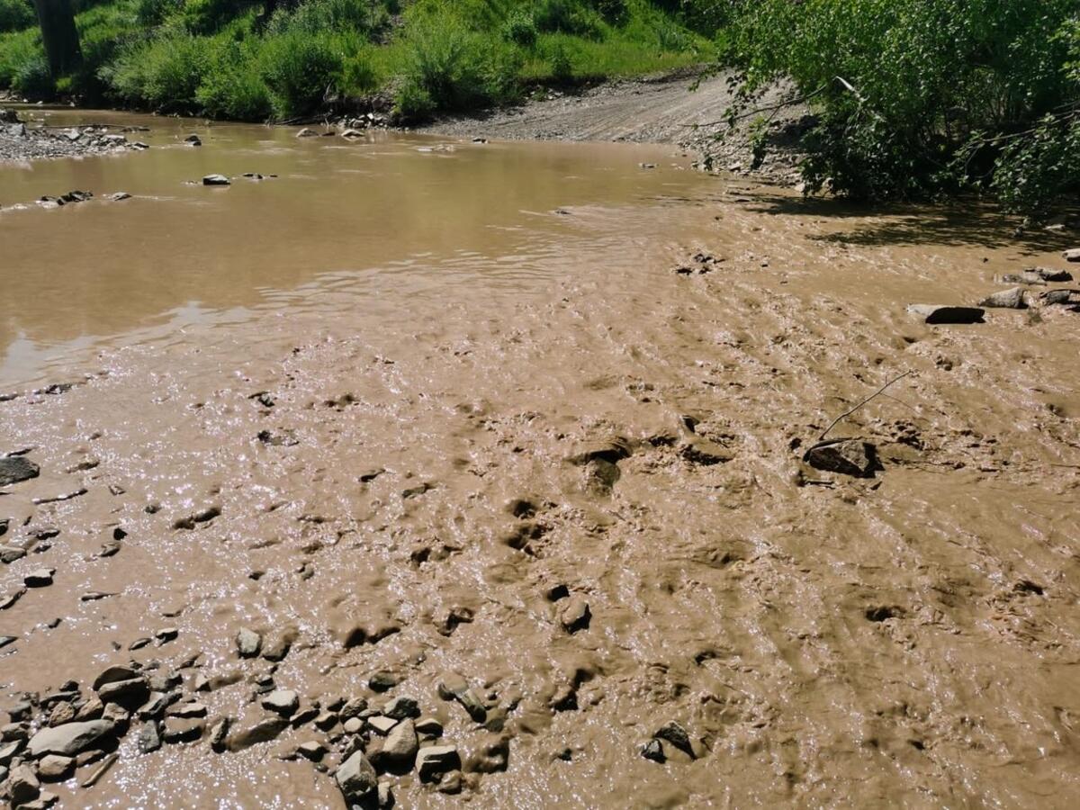 В забайкальскую реку принесло грязь с золотодобывающего прииска