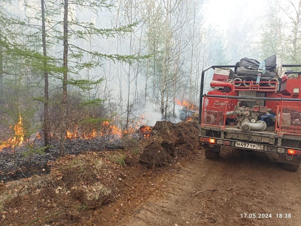 Лесной пожар на 200 гектаров действует возле поселка в Забайкалье