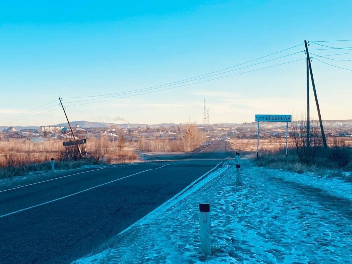 Лошадь сбили на трассе в Забайкалье