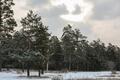 13 января в Забайкалье ожидается до 40 градусов мороза и небольшой снег