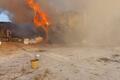 Приют для животных сгорел в Чите - погибли 5 собак и 2 кота