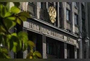 Чьи кошельки толще? Стали известны доходы забайкальских кандидатов в Госдуму