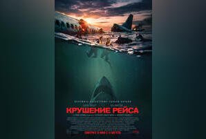 Крушение рейса