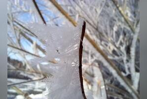 Прогноз погоды на 23 декабря