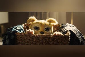 Марсупилами. Пушистый круиз