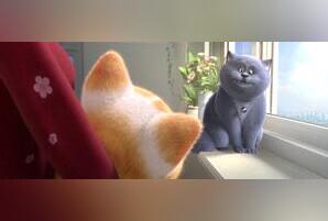 Большой кошачий побег