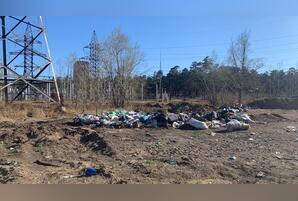 Суд обязал ликвидировать свалку биологических отходов под Читой