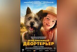 Мой любимый двортерьер