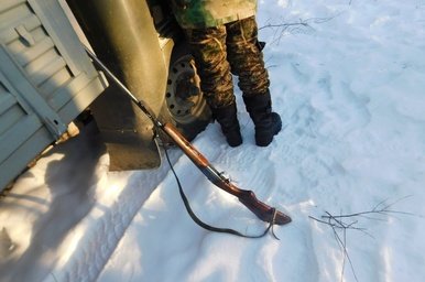 Инспекторы изъяли оружие и капканы в охранной зоне