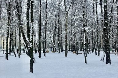 Юго-западный циклон засыпал снегом Забайкалье