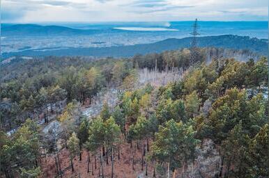«Россети Сибирь» подготовили электросетевой комплекс Забайкалья к пожароопасному периоду