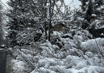 Небольшой снег ожидается завтра в Забайкалье