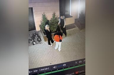 Вандалы-подростки повредили ели возле новой аптеки на Лермонтова