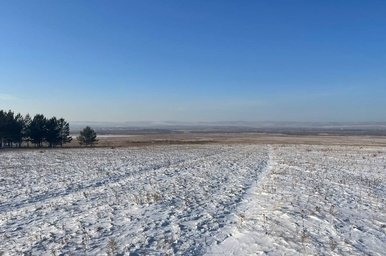 Небольшой снег пройдёт завтра в Забайкалье