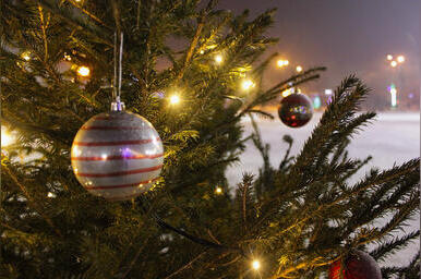 Большинство читинцев встретят Новый 2026 год дома