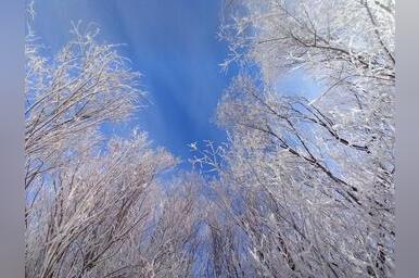 Прогноз погоды на неделю публикует ZAB.RU