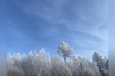 Прогноз погоды на неделю публикует ZAB.RU