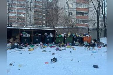 Двор по улице 1-я Московская утопает в мусоре