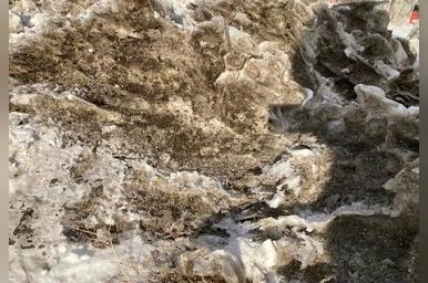 Улицы Читы чистят от снега