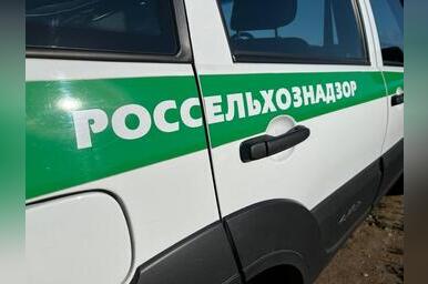 В Забайкалье завершена ликвидация очагов наркосодержащей растительности (18+)