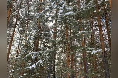 Погода без осадков ожидается завтра в Забайкалье