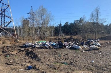 Суд обязал ликвидировать свалку биологических отходов под Читой