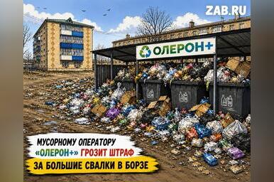 Региональному оператору «Олерон+» грозит штраф за большие свалки в Борзе