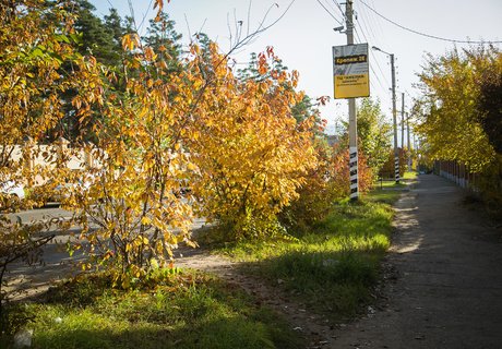Читу «осенило»: Жёлтые листья и «бабье лето»