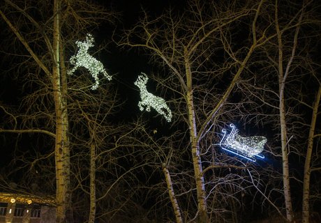 Площадь, гори! Новогоднюю иллюминацию открыли на пл. Декабристов в Чите