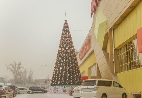 Топ-8 самых высоких ёлок Читы