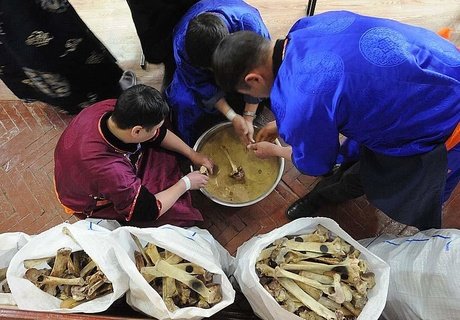 Чемпионат по разбиванию хребтовой кости