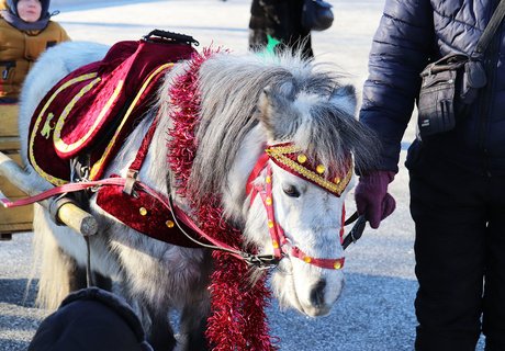 Рождественские гуляния на пл. Ленина в Чите