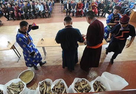 Чемпионат по разбиванию хребтовой кости