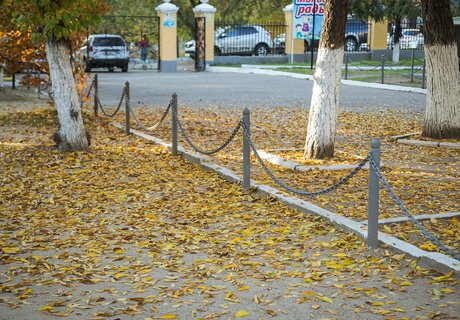 Читу «осенило»: Жёлтые листья и «бабье лето»