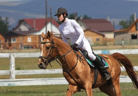 Кубок главы города по конному спорту