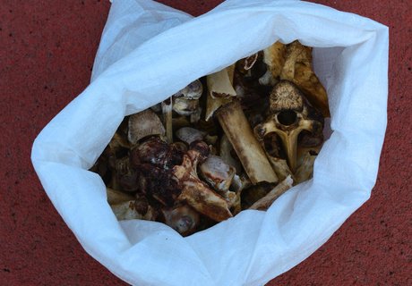 Международный чемпионат по разбиванию хребтовой кости