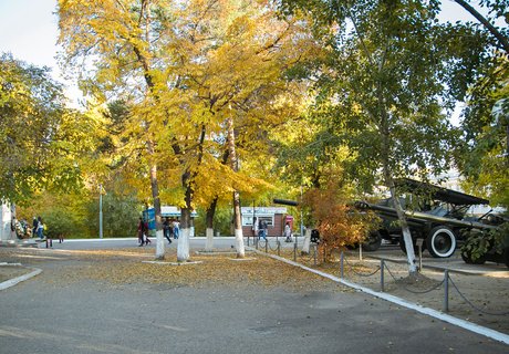 Читу «осенило»: Жёлтые листья и «бабье лето»