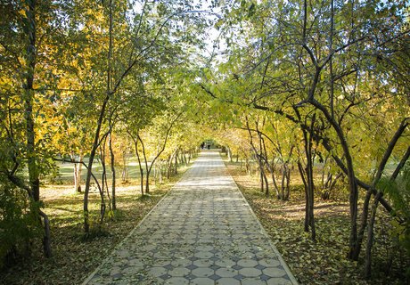 Читу «осенило»: Жёлтые листья и «бабье лето»