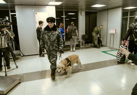 «Х-Скан» и кинологи – как проверяют туристов в аэропорту Читы