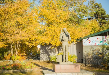 Читу «осенило»: Жёлтые листья и «бабье лето»