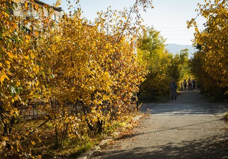 Читу «осенило»: Жёлтые листья и «бабье лето»