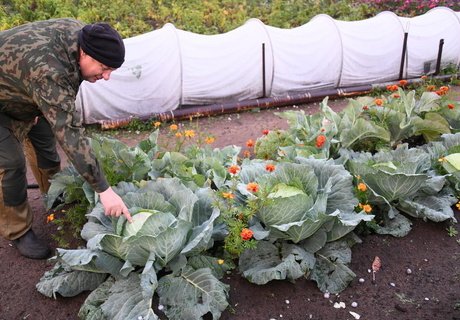 Град размером с яйцо выпал под Читой