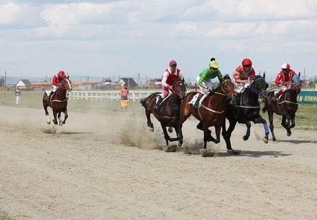 Кубок главы города по конному спорту